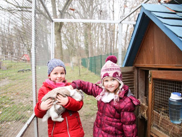 Helene und Smilla besuchen Häsin Trudi in ihrem Gehege Fotos: maxpress